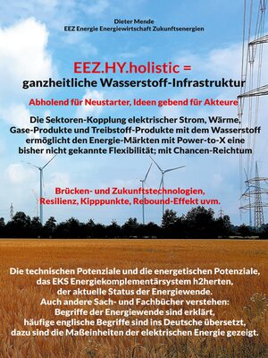 cover image of EEZ.HY.holistic = ganzheitliche Wasserstoff-Infrastruktur